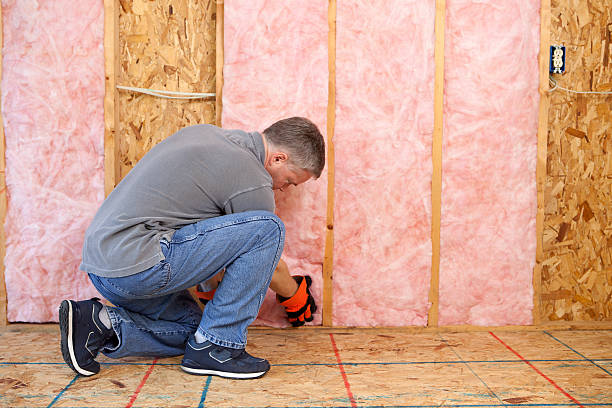 Best Residential Insulation in Marco Island, FL